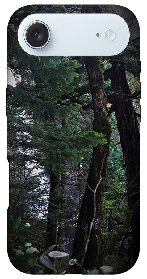 Water fall - Phone Case