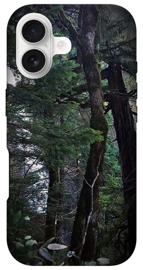 Water fall - Phone Case