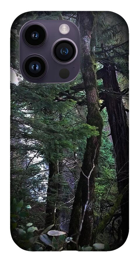 Water fall - Phone Case