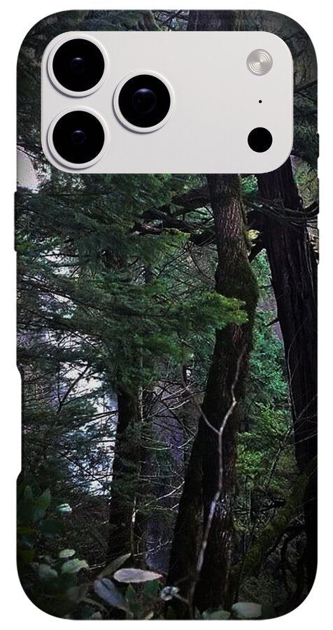 Water fall - Phone Case