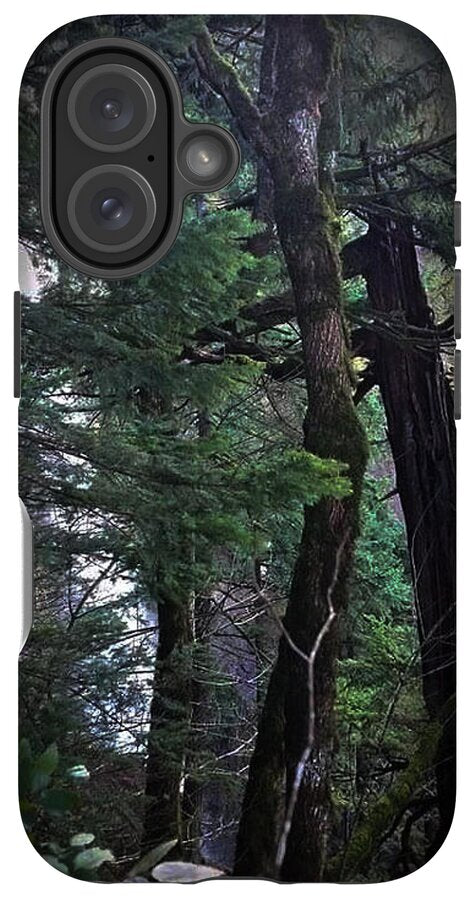 Water fall - Phone Case