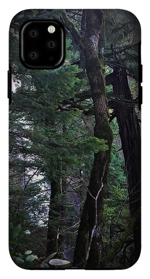 Water fall - Phone Case