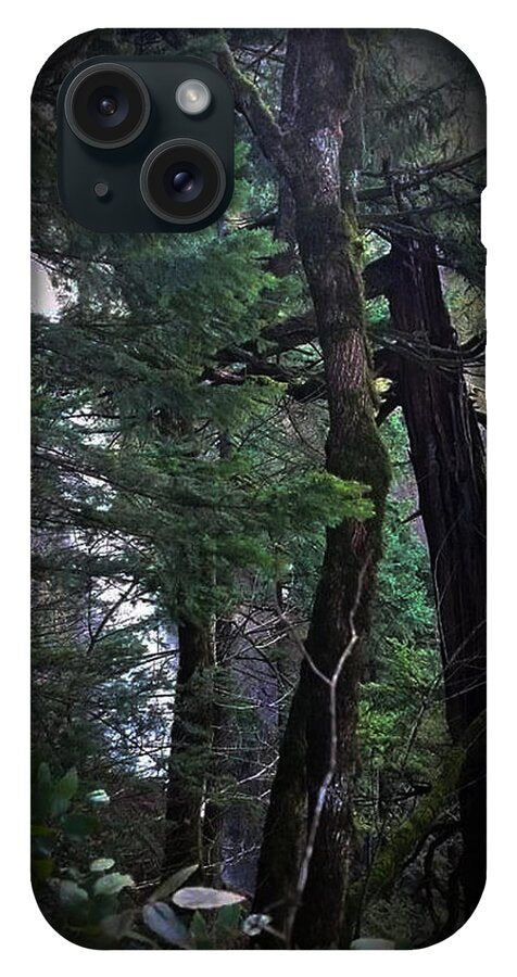 Water fall - Phone Case