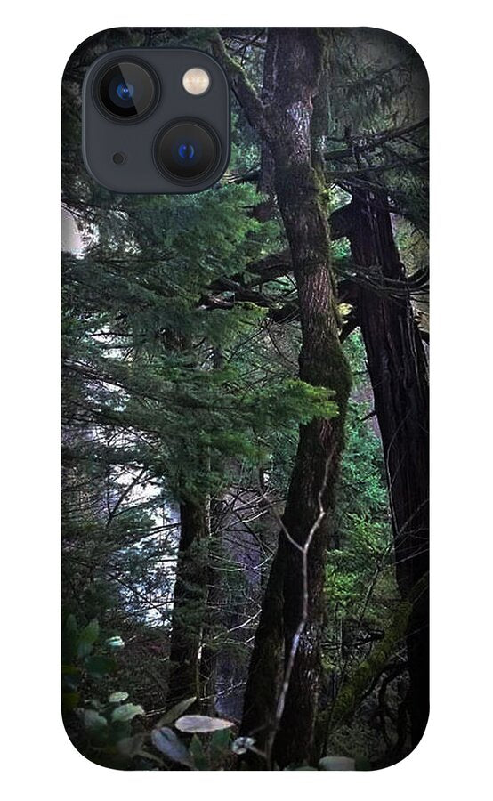 Water fall - Phone Case