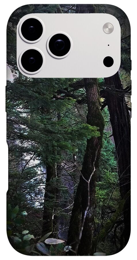 Water fall - Phone Case