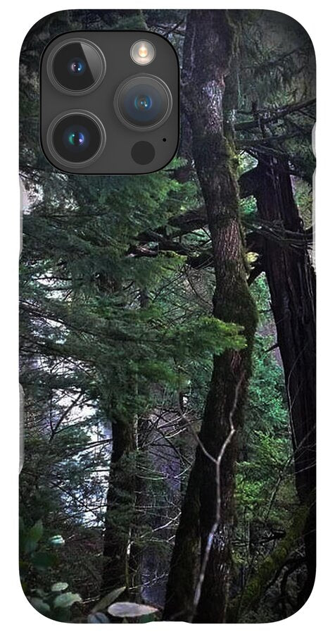 Water fall - Phone Case