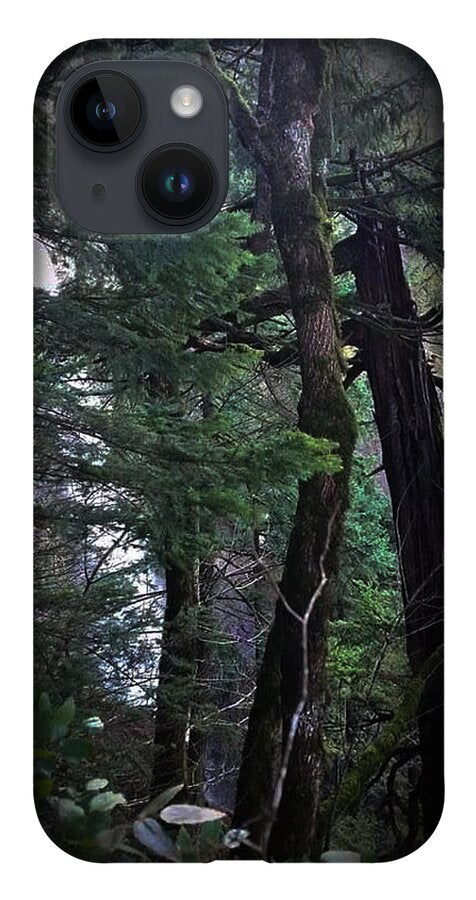 Water fall - Phone Case