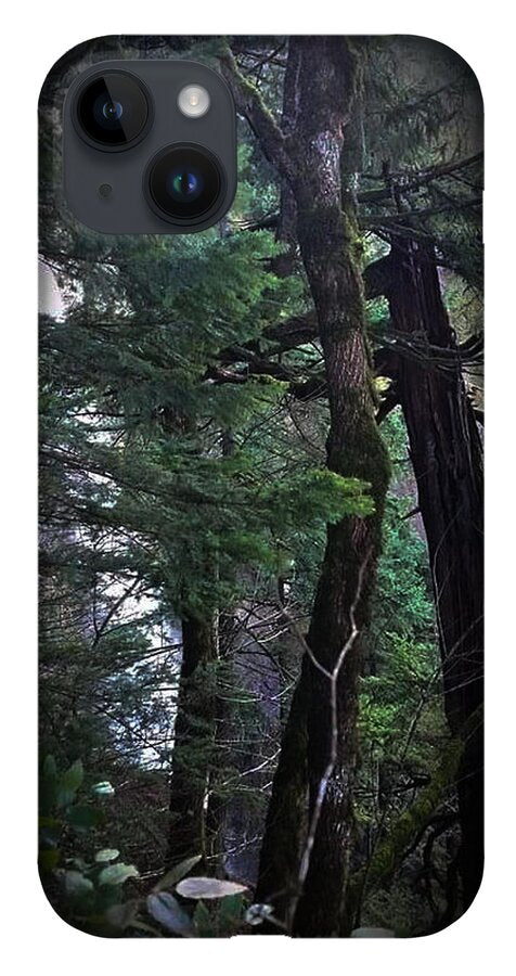 Water fall - Phone Case