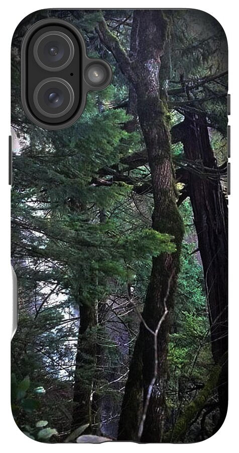 Water fall - Phone Case