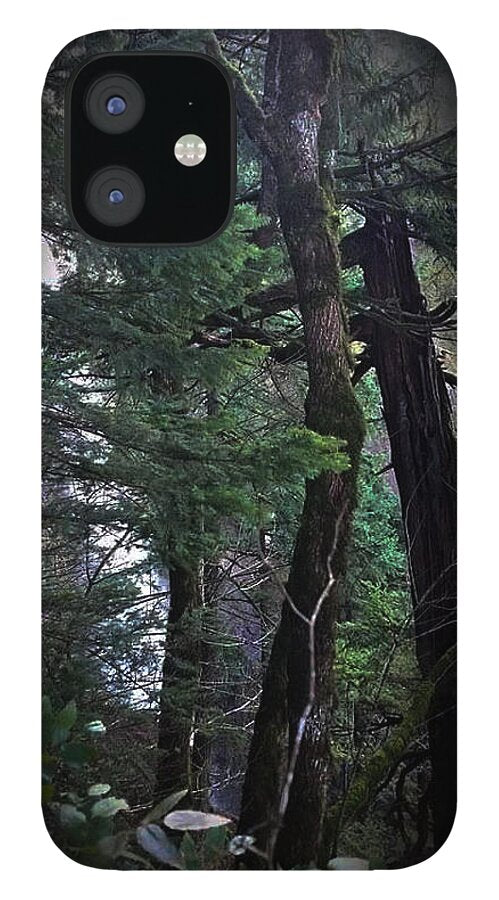 Water fall - Phone Case