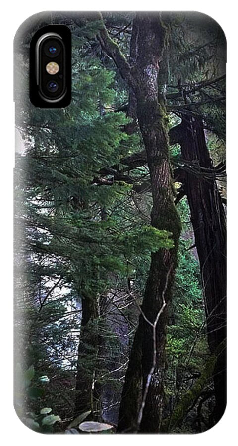 Water fall - Phone Case