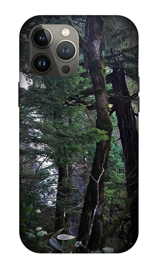 Water fall - Phone Case