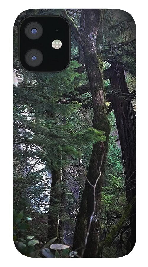 Water fall - Phone Case