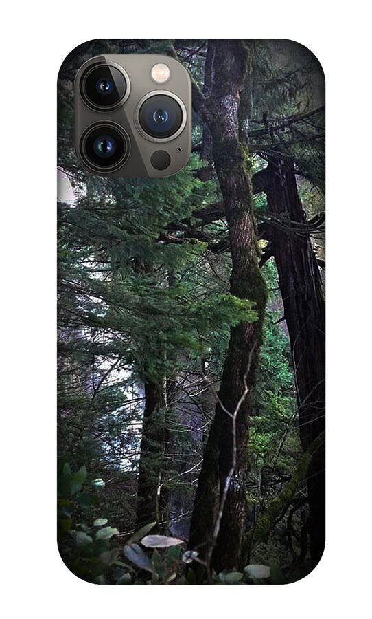 Water fall - Phone Case