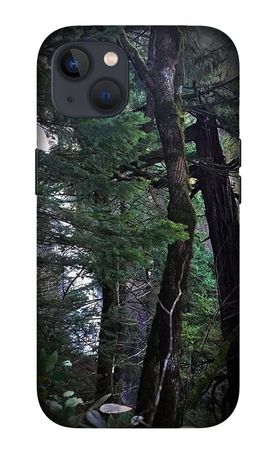 Water fall - Phone Case