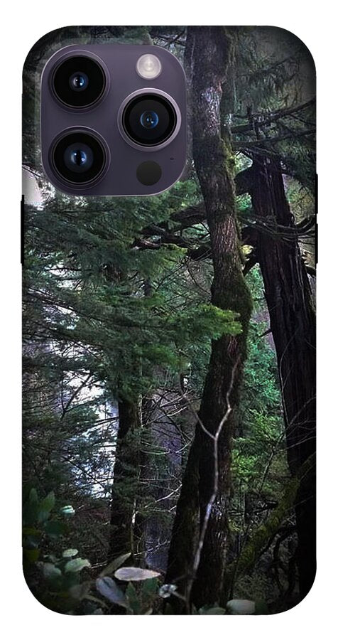 Water fall - Phone Case