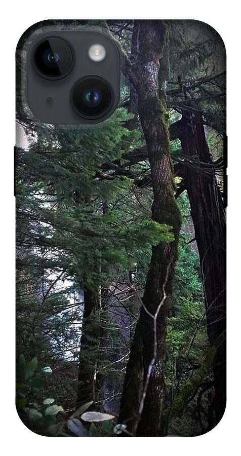 Water fall - Phone Case