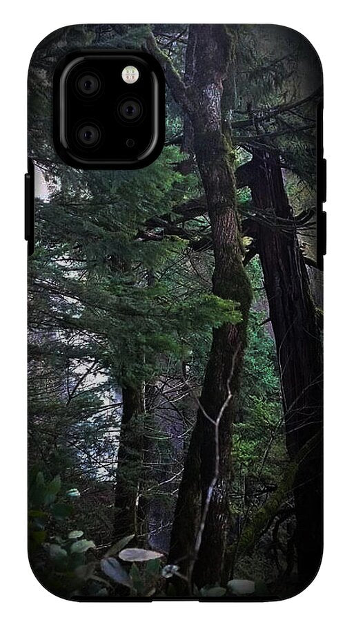 Water fall - Phone Case