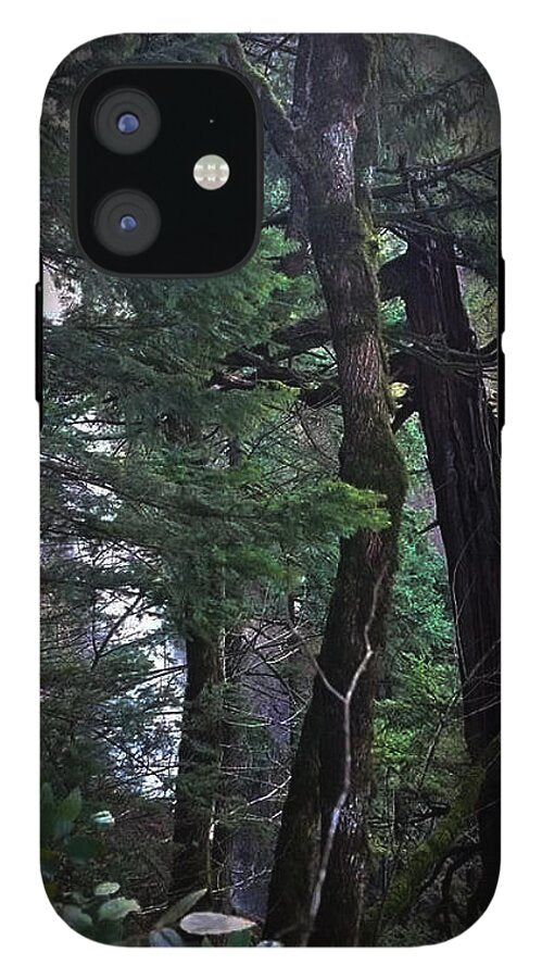 Water fall - Phone Case