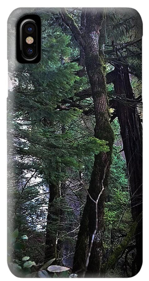 Water fall - Phone Case