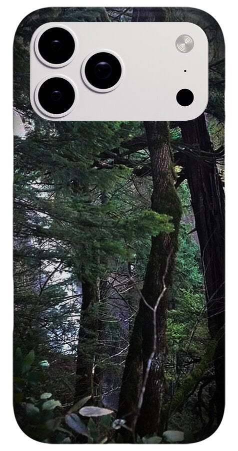 Water fall - Phone Case
