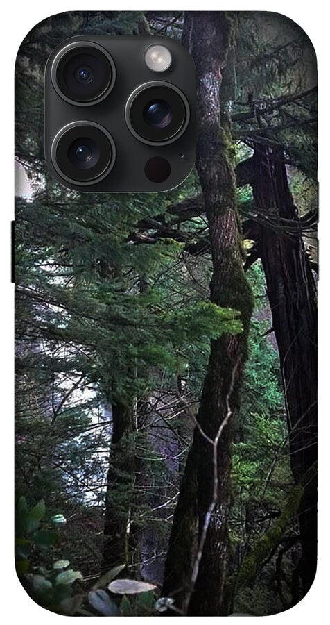 Water fall - Phone Case