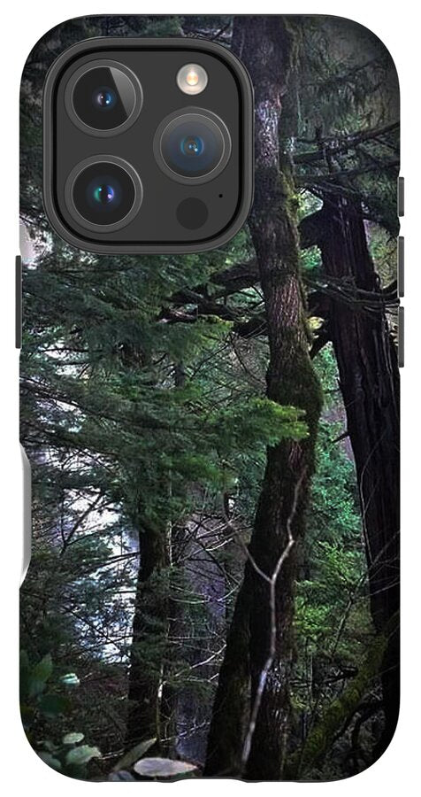 Water fall - Phone Case