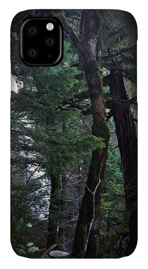 Water fall - Phone Case