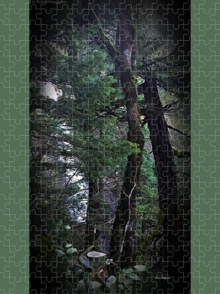 Water fall - Puzzle