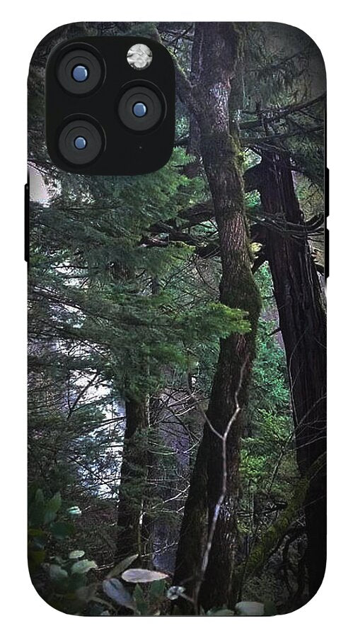 Water fall - Phone Case