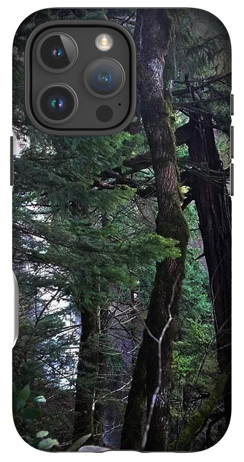 Water fall - Phone Case
