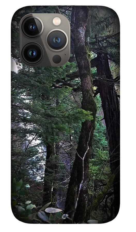Water fall - Phone Case