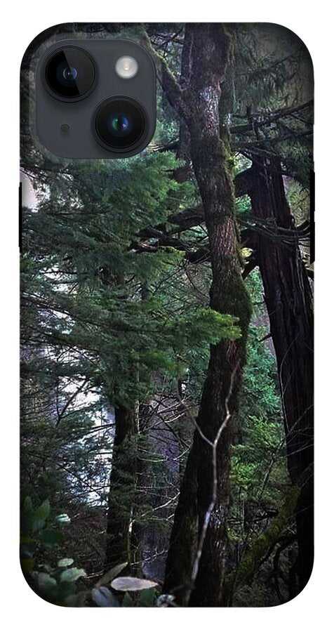 Water fall - Phone Case