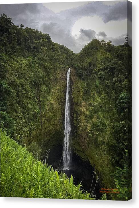 Water fall in Hilo, Hawaii - Canvas Print