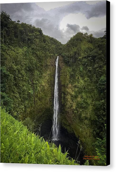 Water fall in Hilo, Hawaii - Canvas Print