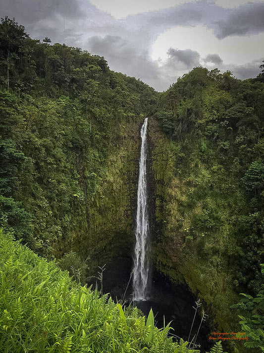 Water fall in Hilo, Hawaii - Art Print