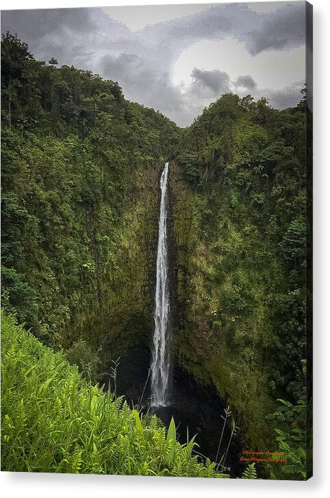 Water fall in Hilo, Hawaii - Acrylic Print
