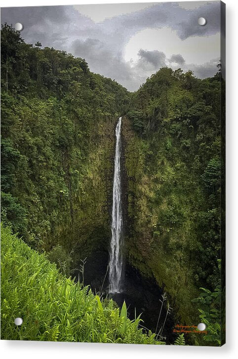 Water fall in Hilo, Hawaii - Acrylic Print