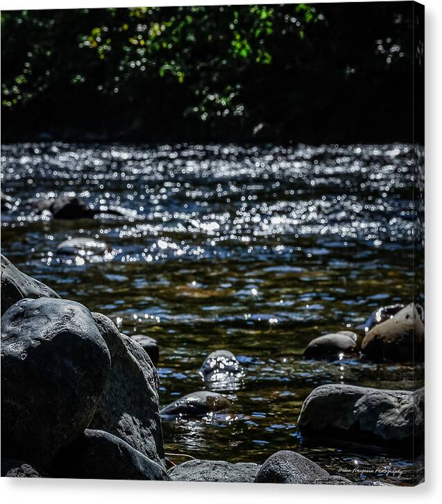 Water ways - Canvas Print
