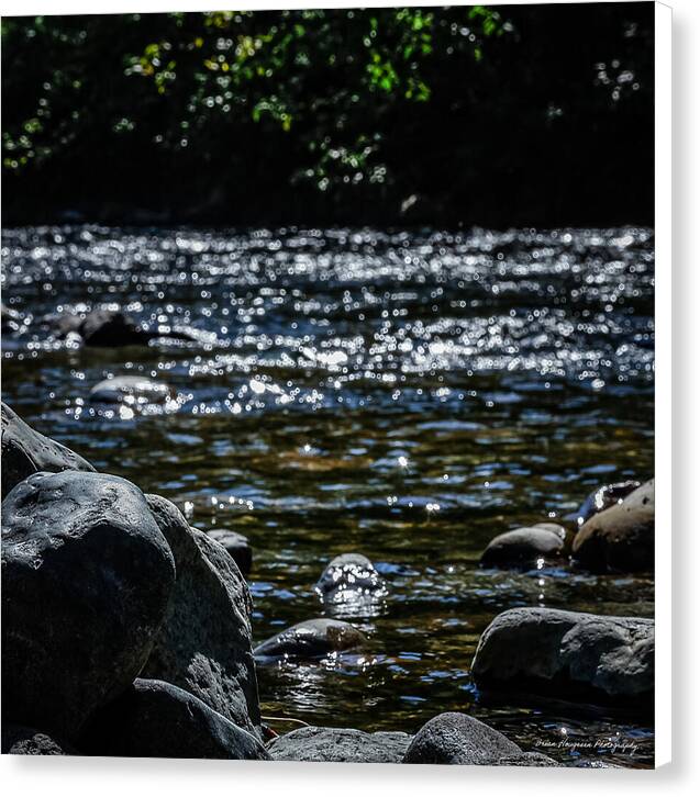 Water ways - Canvas Print