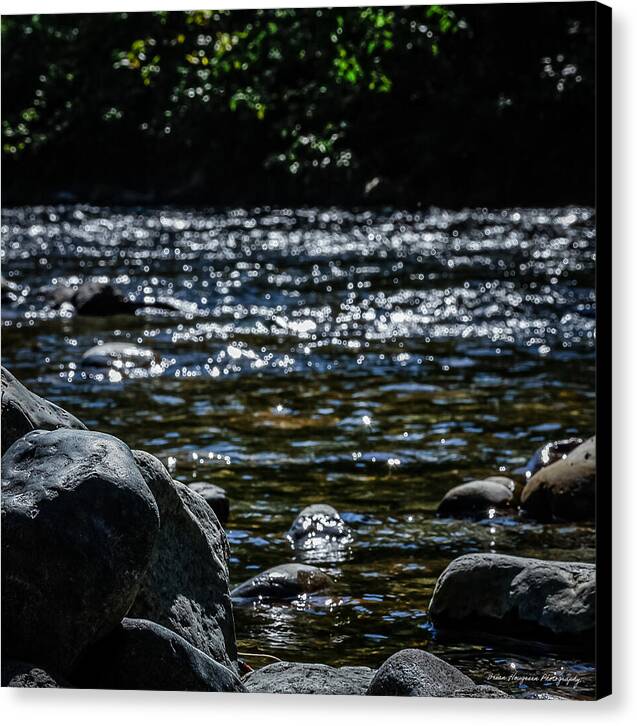 Water ways - Canvas Print
