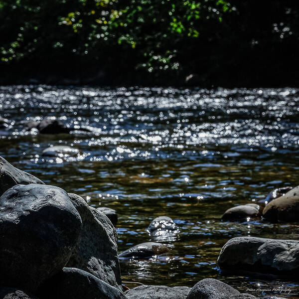Water ways - Art Print