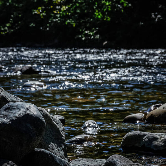 Water ways - Art Print