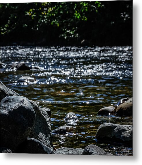 Water ways - Metal Print