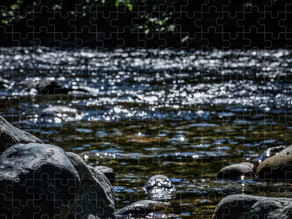 Water ways - Puzzle