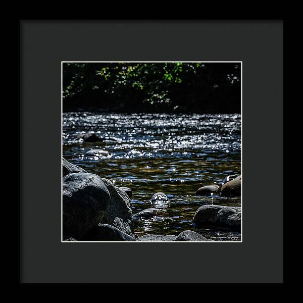 Water ways - Framed Print
