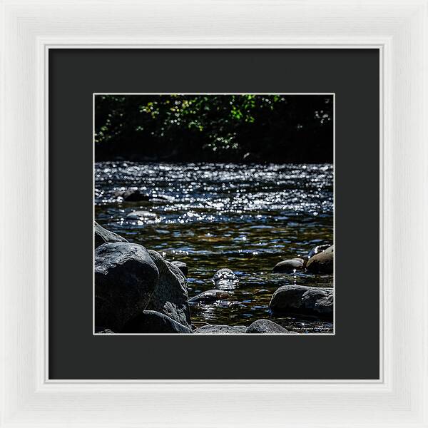 Water ways - Framed Print