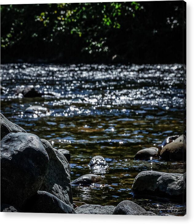 Water ways - Acrylic Print