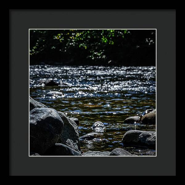 Water ways - Framed Print