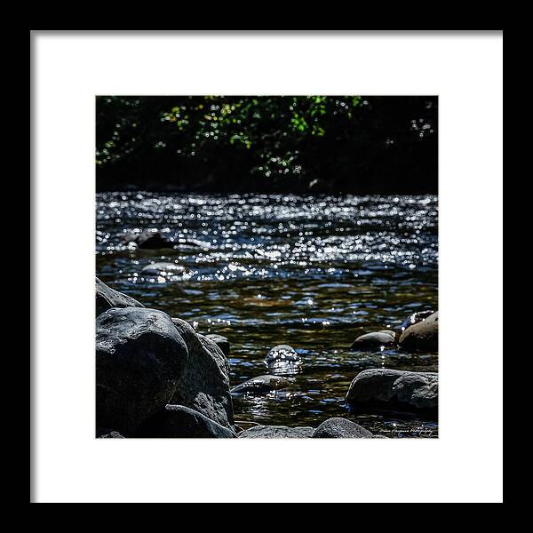 Water ways - Framed Print